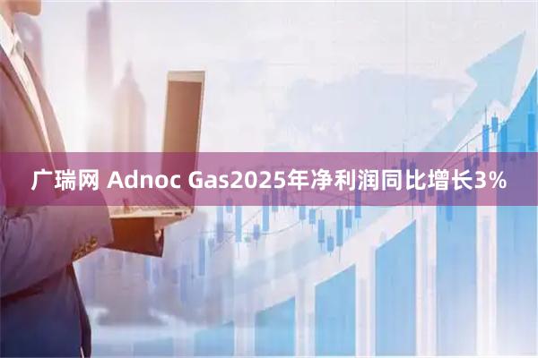 广瑞网 Adnoc Gas2025年净利润同比增长3%
